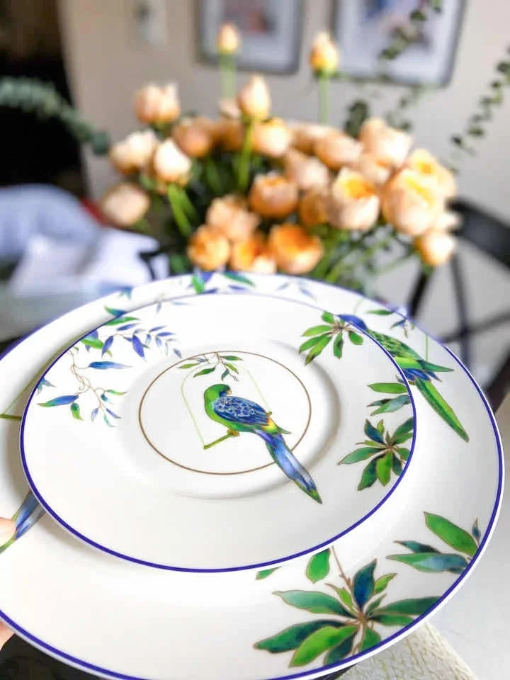 Jogo de jantar de porcelana papagaio