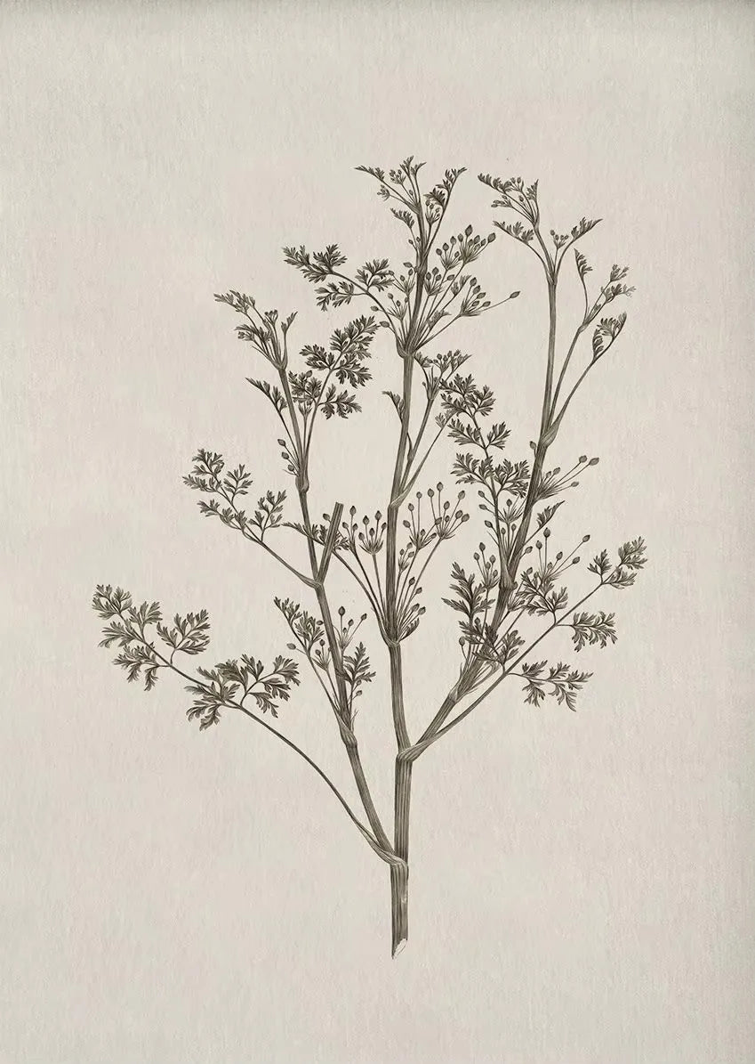 Pôster de flor botânica vintage